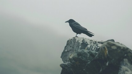 A lone crow standing on a rocky outcropping against a foggy, desolate backdrop, capturing an eerie and solitary ambiance.