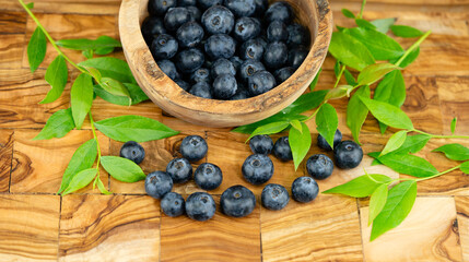 frische Blaubeeren Vaccinium myrtillus aus dem eigenen Garten