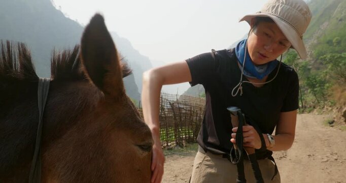 Chinese woman and mule