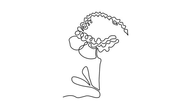 Self drawing animation with one continuous line draw, Abstract peony flower, beauty salon logo