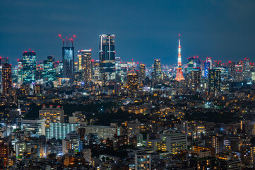 Obraz premium 日本の首都東京の夜景