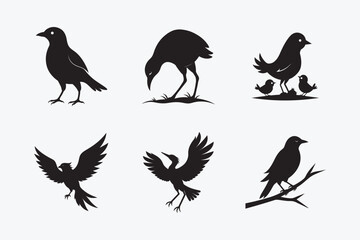 Bird Silhouette Vector Bundle