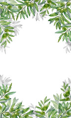 Rectangular Framing with decoration of olives Branches all around