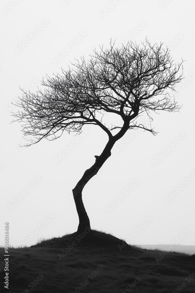 Canvas Prints A tree is standing alone on a hill. The tree is bare and has no leaves. The sky is cloudy and the sun is not visible. The image has a somber and lonely mood