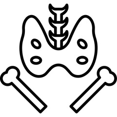 Pelvis Icon