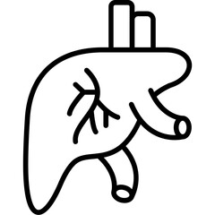 Liver Icon