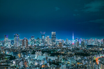 Fototapeta premium 日本の首都東京の夜景