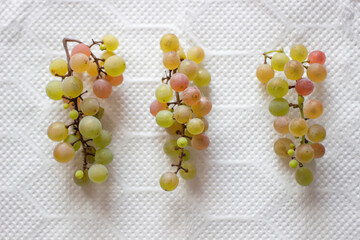 キッチンペーパーの上に並べた3房の不揃いのブドウ。自宅の庭のキウイ棚の端で自然に成長した蔓に生った小さなブドウの房です。小さくて不揃いですが味は甘くておいしいです。