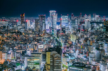 Naklejka premium 日本の首都東京の夜景