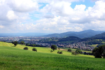 Sommerlandschaft auf dem Schönberg bei Freiburg