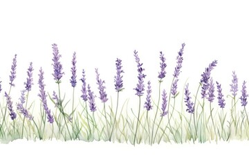 Naklejka premium Lavender flower plant white background.