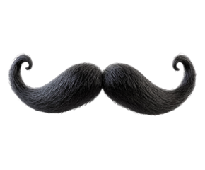 Fake black mustache isolated on white background. PNG transparent.