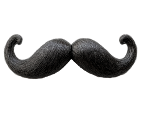 Fake black mustache isolated on white background. PNG transparent.