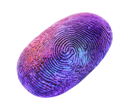 Close-up of fingerprint on a finger isolated on white background. PNG transparent.