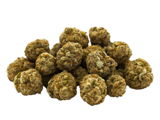 Pile of dried cannabis buds isolated on white background.. PNG transparent.