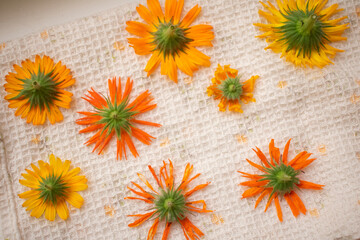 orange flower background