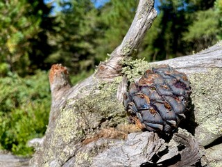 Turracher Höhe
