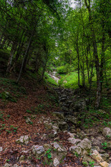 A hiking path through the Chiemgau forest on the way to the peak of the Kampenwand mountain