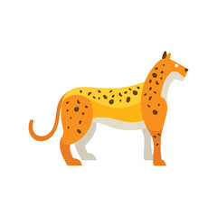 A yellow leopard with black spots standing.