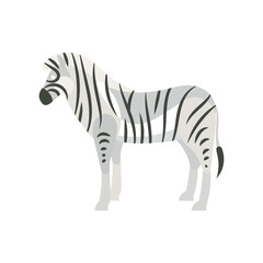 A zebra with black and white stripes.