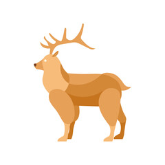 A tan-colored deer with antlers.