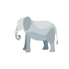 A large grey elephant with tusks.