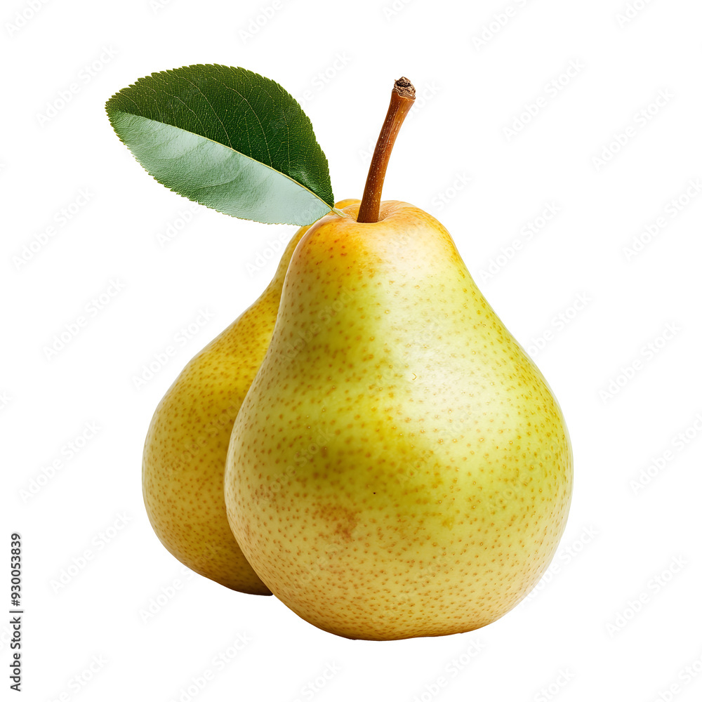 Wall mural pears isolated on white background