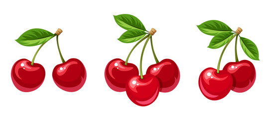 Cherry. Bunches of cherry berries isolated on a white background. Set of vector illustrations