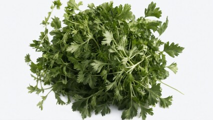 Dry parsley leaves 