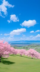 Naklejka premium Spring background