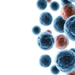 A digital rendering of cells forming a monolayer in culture, 3D illustration, isolated on white background