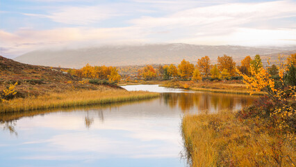 Autumn in Forollhogna National park, Norway