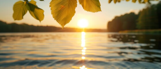 Obraz premium The sun brightly shines through tree leaves, casting reflections on a tranquil body of water Behind are more trees