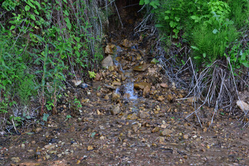 a small stream of water is running through the green grass close up