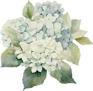 Vector, blue hydrangea, Bouquet, festive flowers, Watercolor illustration, Greeting cards, invitation, party, baby shower, birthday, event, holiday, wedding card, printable