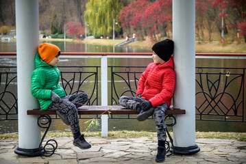 Two siblings stand on the bridge and admire the magnificent view