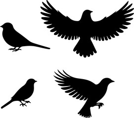 silhouette of a dove brid side view vector illustration