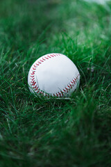 A Moment Before the Hit: Baseball at the Heart of the Game