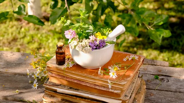 Woman with medicinal herbs in the garden. Selective focus.