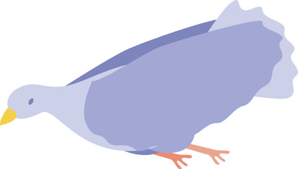 Blue dove bird flying with spread wings