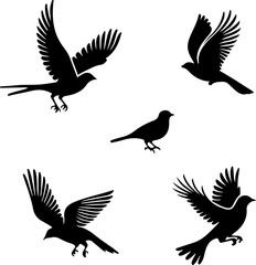 Flying bird silhouette set design inspiration vector illustration.