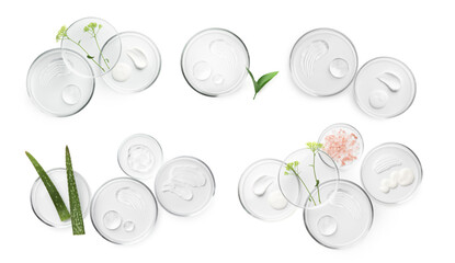 Petri dishes with cosmetic products and plant isolated on white, top view. Set