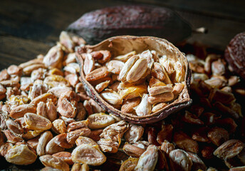 Cocoa beans and dried cocoaseed