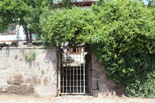Bitki/&ccedil;icek