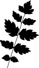 Branch symbol. Laurel leaf. Silhouette symbol.