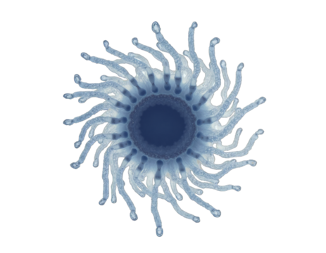 spherical spiral virus on the alpha isolated transparent background