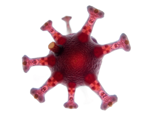 spherical spiral virus on the alpha isolated transparent background