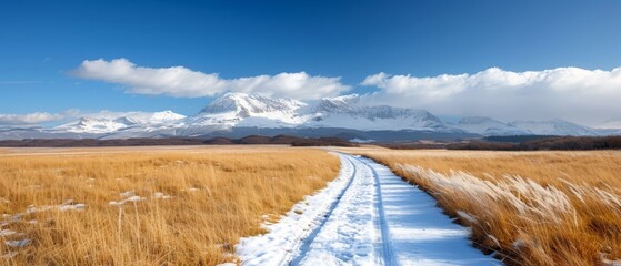  A snow-covered field with a path through its midst A distant snow-capped mountain