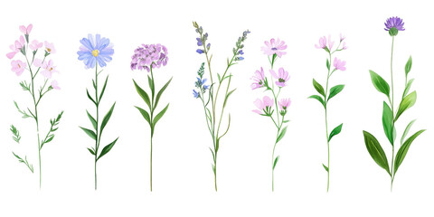 Set of colorful flowers on transparent background, isolated, AI generated