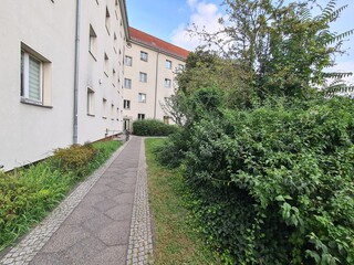 Backyard with green in Berlin Treptow/Köpenick
